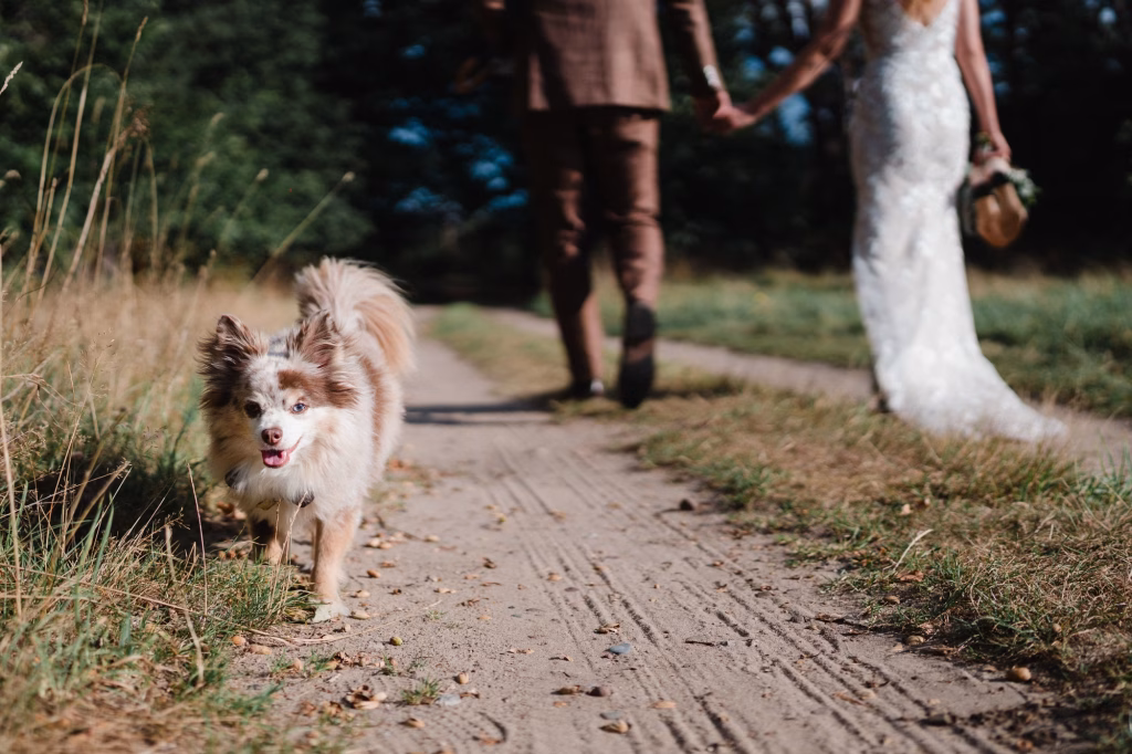 Hochzeitsfotograf-Hannover-Wedemark-Brautpaaar-mit-Hund